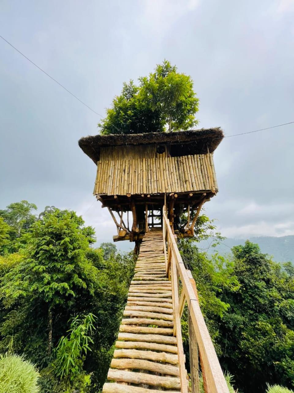 Palkulam Heights Villa Kumudi Eksteriør bilde